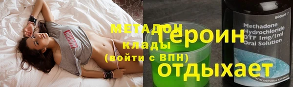 прущие грибы Ладушкин