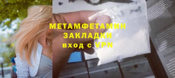 прущие грибы Ладушкин