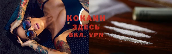 прущие грибы Ладушкин