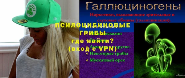 прущие грибы Ладушкин