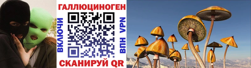 Галлюциногенные грибы MAGIC MUSHROOMS  Купить закладки  Лабинск 